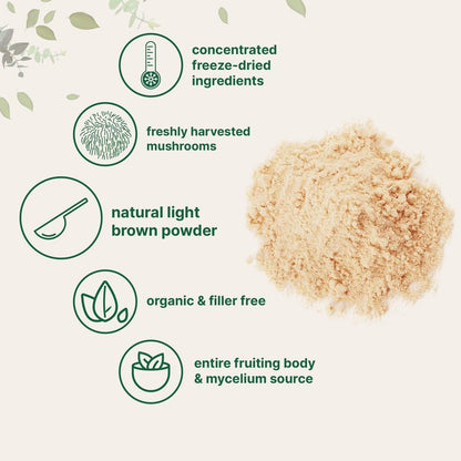 Organic Lions Mane Mushroom Supplement Powder