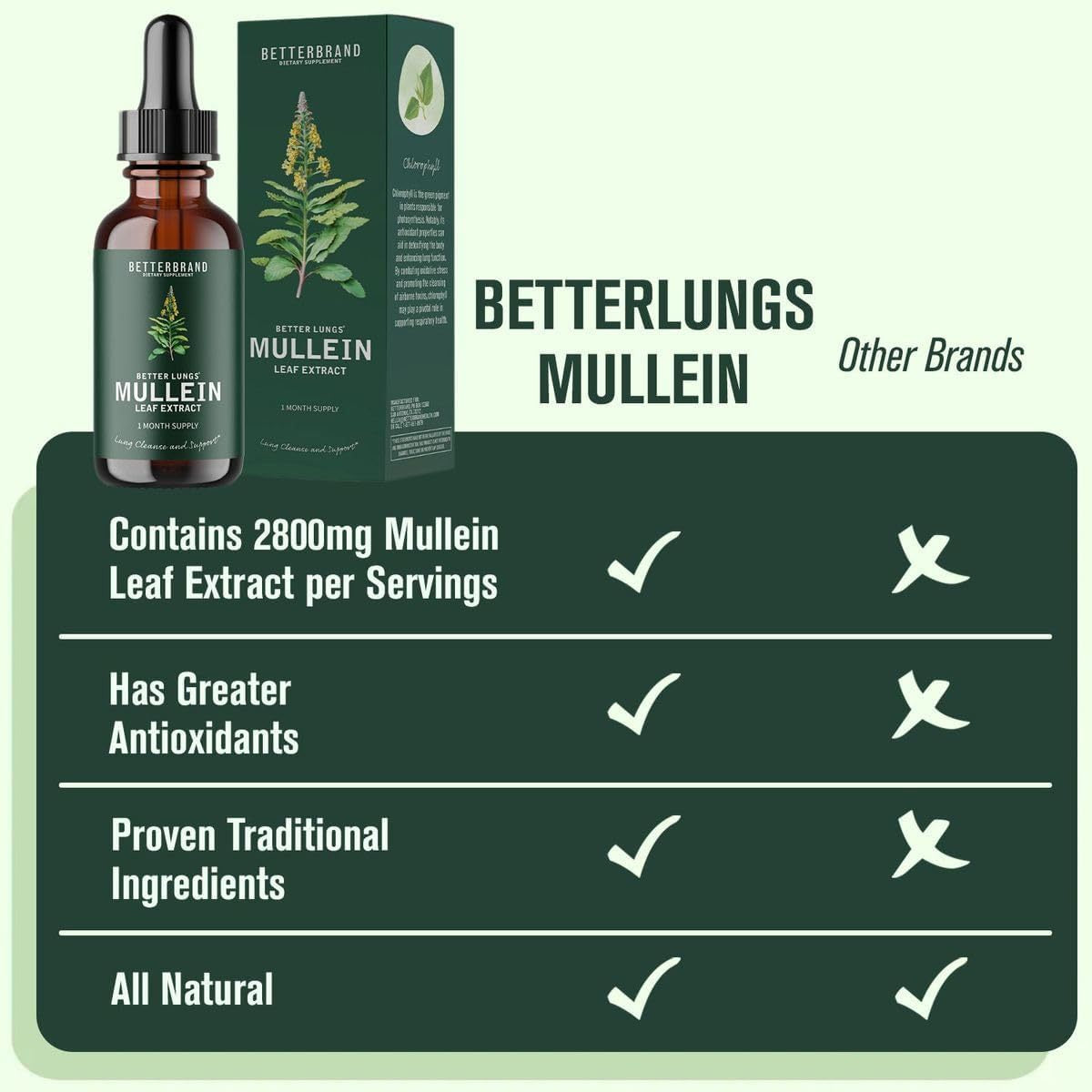 BetterLungs Mullein Leaf & Chlorophyll Extract Drops For Lung Detox Healthcare Supplement