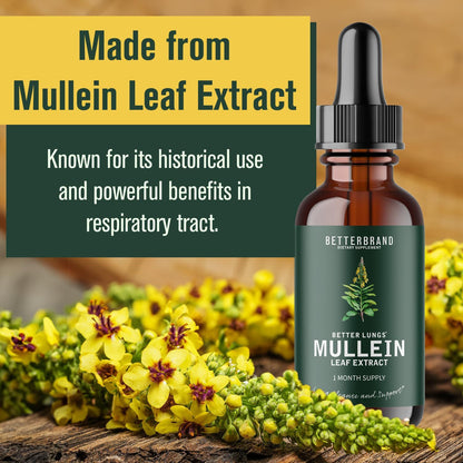 BetterLungs Mullein Leaf & Chlorophyll Extract Drops For Lung Detox Healthcare Supplement
