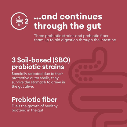Physician's Choice Digestive Enzymes with Probiotics + Prebiotics - Mealtime Discomfort & Bloating Relief - Multi Support for Digestion & Gut Health