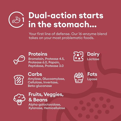Physician's Choice Digestive Enzymes with Probiotics + Prebiotics - Mealtime Discomfort & Bloating Relief - Multi Support for Digestion & Gut Health