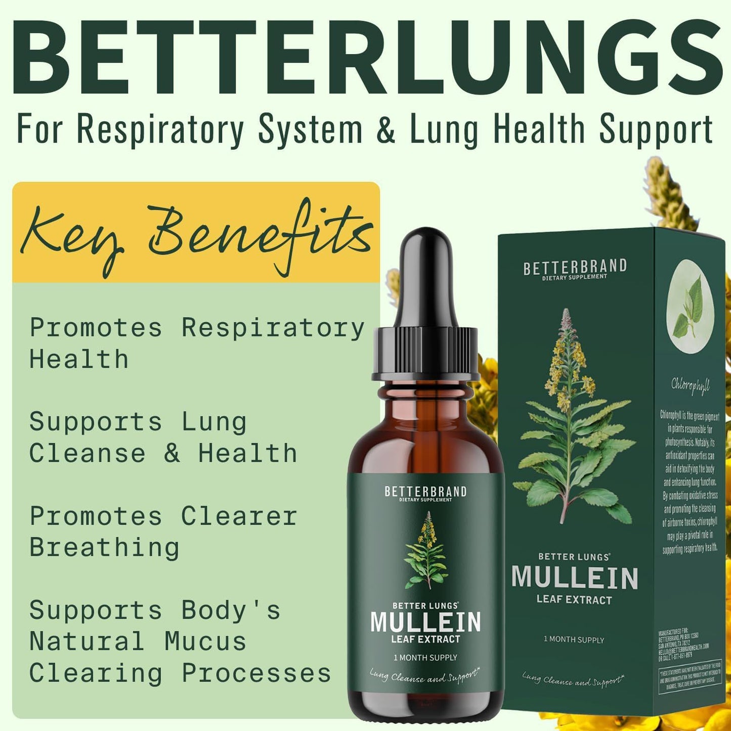BetterLungs Mullein Leaf & Chlorophyll Extract Drops For Lung Detox Healthcare Supplement