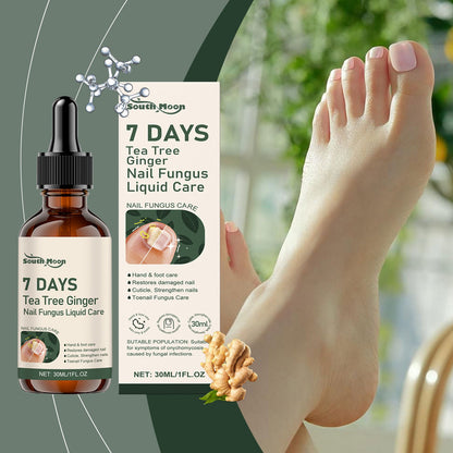 Furzero™ - SOUTH MOON🌟 Bienengift Nagelpilzbehandlung: Eine Komplettlösung für Nagelpilz