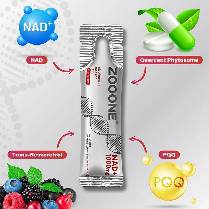 🌿NR1000 – NAD+ 🍒🍓Getränkemix mit Beerengeschmack zur Unterstützung der Hautalterung, für mehr Energie und Konzentration – 30er-Pack